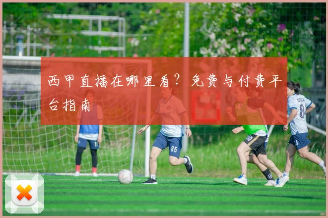 西甲直播在哪里看？免费与付费平台指南